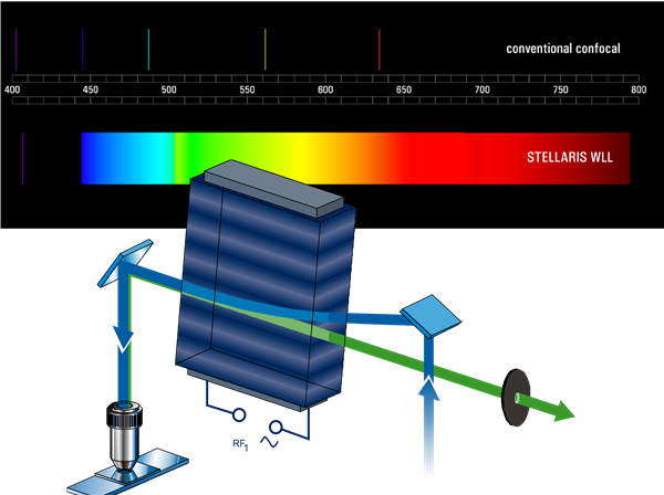 LEICA 獨家 WLL 白光雷射